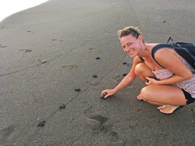 Junge Frau setzt Babyschildkröten in den Sand