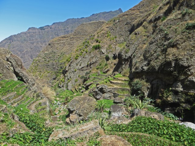 Grüne Terrassenfelder in der Bergwelt auf Santo Antao, Kapverden