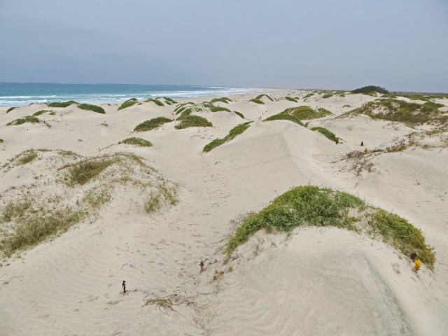 Sanddünen am Meer auf Maio, Kapverden