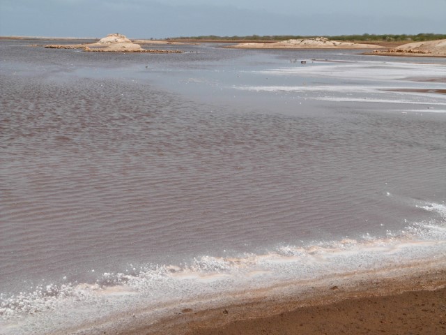 Salzsee Salinas mit Salz am sandigen Ufer auf Maio, Kapverden