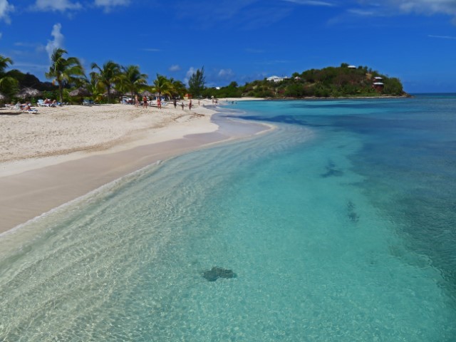 Weißer Sandstrand auf Antigua mit tprkisfarbenem Meer