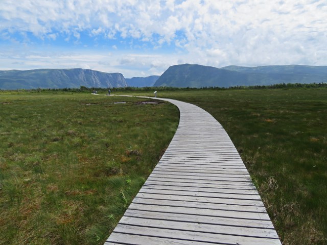 Hölzener Pfade durch eine grüne Wiese zum Western Brook Pond im Gros Morne Nationalpark Neufundland