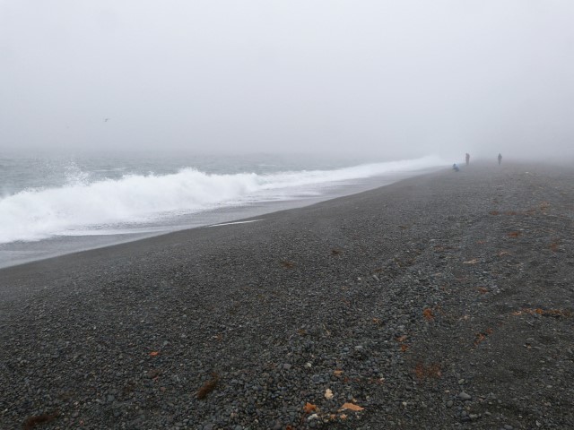 Nebeliger Steinstrand in Neufundland