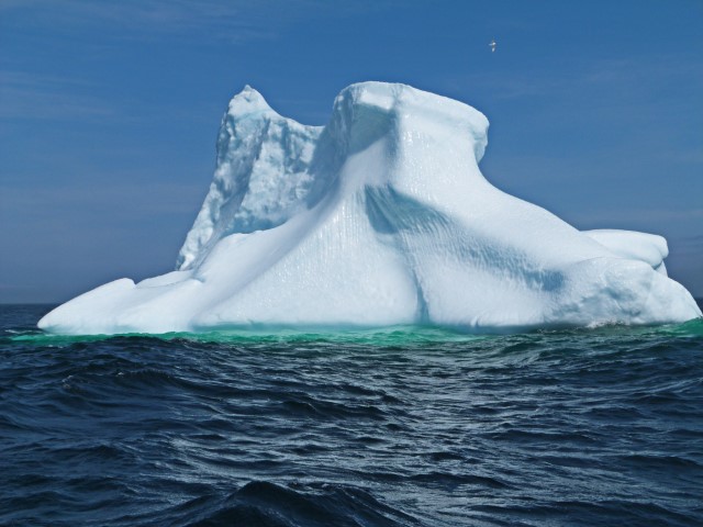 Eisberg im Wasser in Neufundland