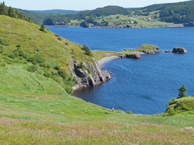 Blick über eine begrünte Landzunge und grüne Hügel auf der anderen Seite der Bucht, Neufundland