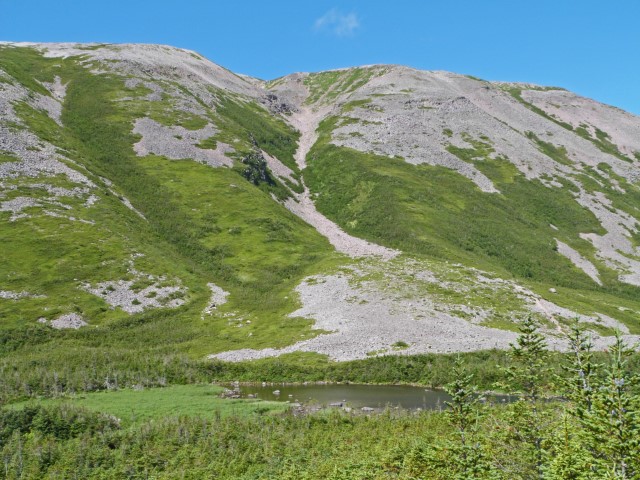 Teils begrünter,m teils gerölliger Berg Gros Morne Mountain im Gros Morne Nationalpark Neufundland