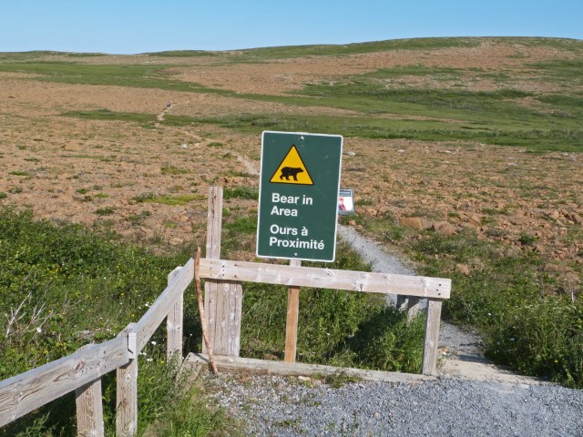 Grünes Schild vor einer Hügellandschaft, das vor Bären warnt, Gros Morne Nationalpark Neufundland