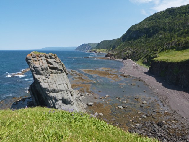 Teils begrünte Felsen an der Küste der Green Gardens, Gros Morne Nationalpark Neufundland