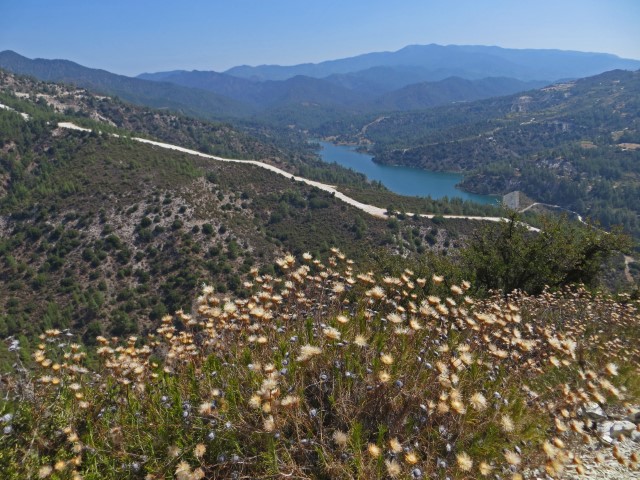 Grüne Landschaft mit See im Troodos Gebirge, Zypern