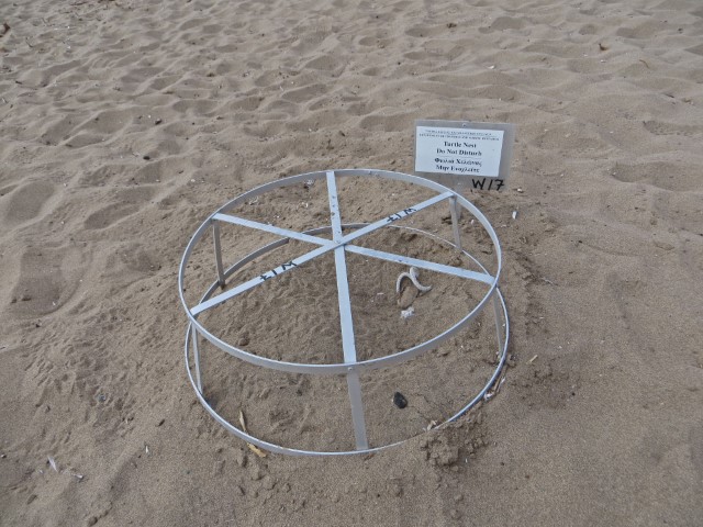 Gestell zum Schutz von Schildkröten Eiern am Strand auf der Akamas-Halbinsel, Zypern