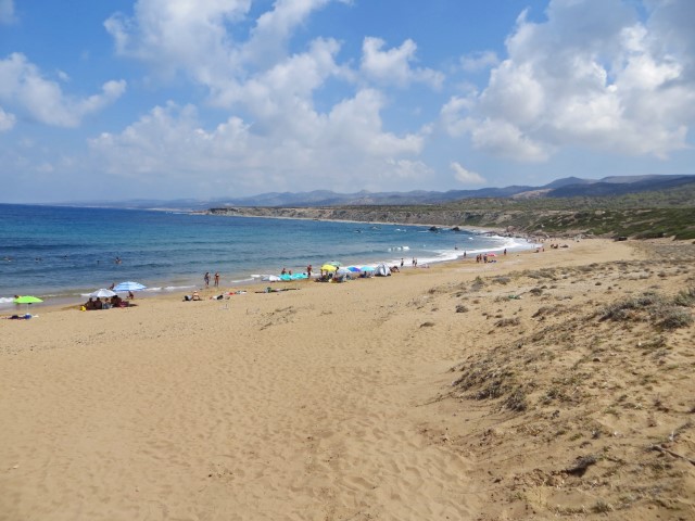 Langer Sandstrand auf der Akamas-Halbinsel, Zypern, mit Grün im Hintergrund