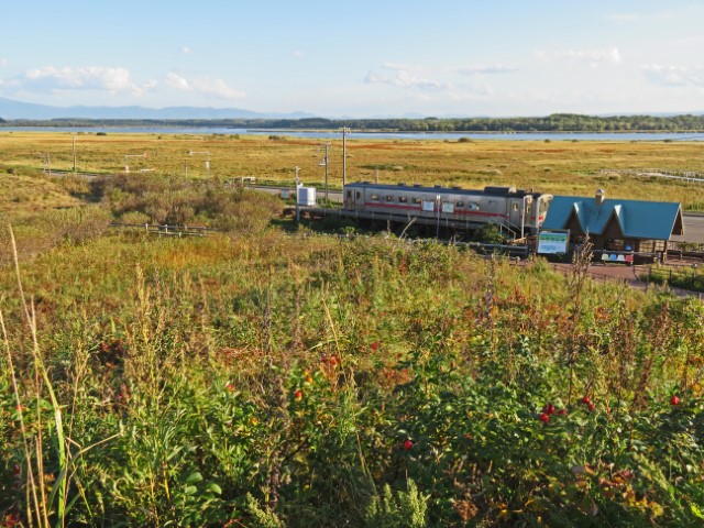 Zug Richtung Kushiro durch den Akan Nationalpark in Hokkaido, Japan