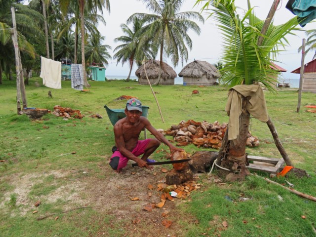 Mann mit nacktem Oberkörper hackt auf einer San Blas Insel in Panama Kokosnüsse auf