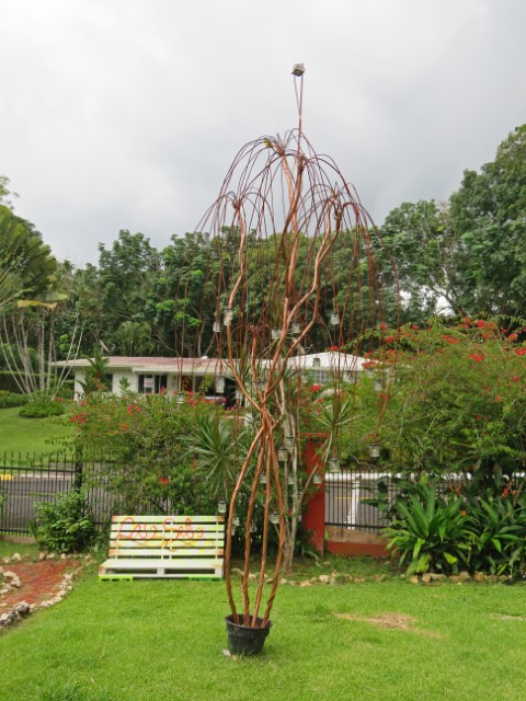 Metallenes Kunstwerk mit viele Drähten im Garten der Casa Selva Panama