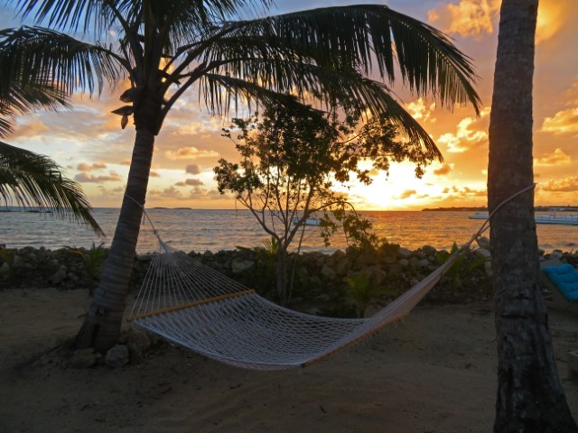 Hängematte zwischen Palmen vor dem Sonnenuntergang überm Meer auf Andros Bahamas