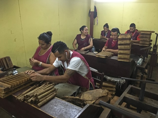 Frauen und Männer in rostroten Uniformen sitzen an Tischen einer Zigarrenfabrik in Estelí und rollen Zigarren