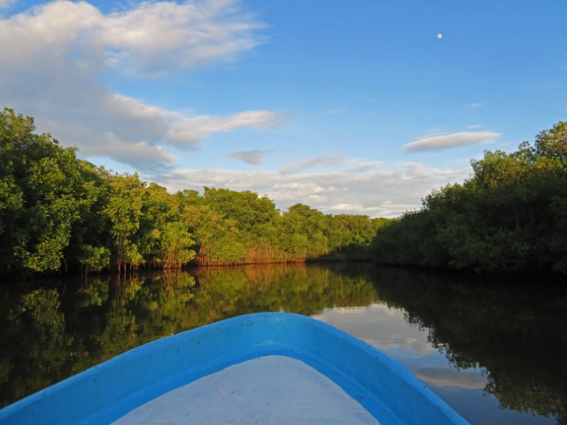 Juan Venado Island Naturreservat mit bewaldetem Fluss Ufer und der Spitze vom Boot, das über den Fluss fährt