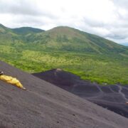 Mensch in gelbem Anzug surft liegend einen Vulkanin Nicaragua runter