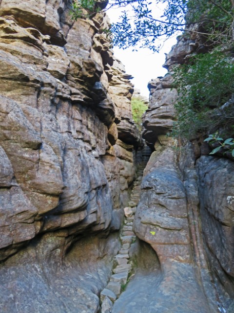 Schmaler Weg umgeben von hohen Felsen im Grampians Nationalpark