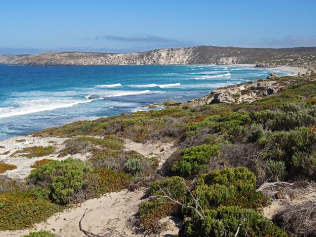 Kangaroo Island mit weißem Sandstrand und begrünten Dünen 