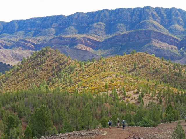 Wanderer in der Weite der Flinders Ranges mit begrünten Bergen