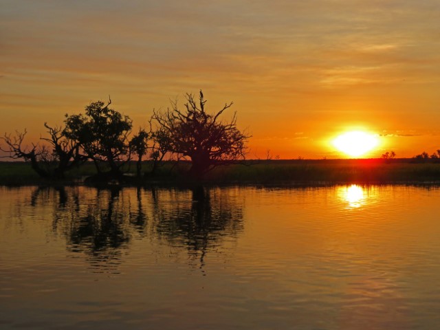 Tiefroter Sonnenuntergang hinter einem Fluss und trockenen Bäumen