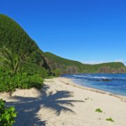 Palmenstrand und grpne Hügel am Strand einer Insel auf Fidschi