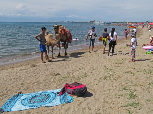 Strand am Yssykköl-See mit Menschen und Kamelen