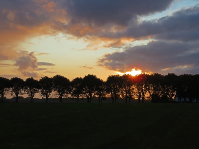 Sonnenuntergang hinter Wolken und Bäumen