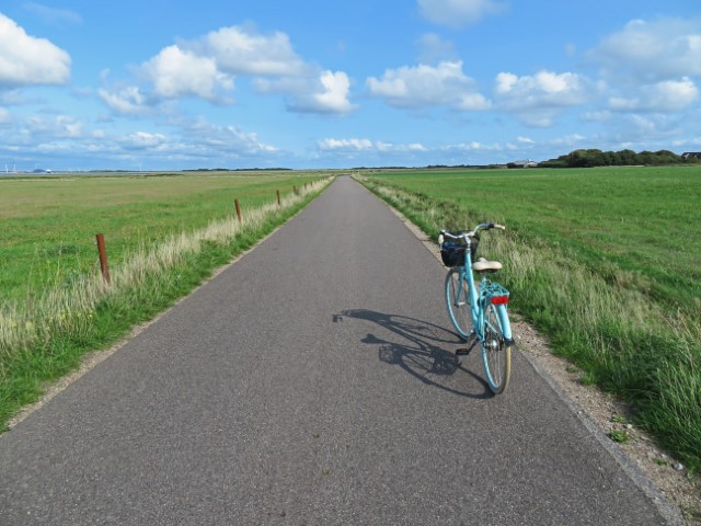 Fahrrad auf einer Straße zwischen 2 grünen Feldern auf Fanø