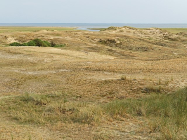 Dünenlandschaft mit Blick zum Meer auf Fanø