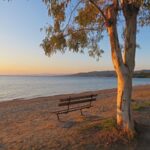 Bank unter einem Baum an einem Strad auf der Chalkidiki-Halbinsel bei Sonnenuntergang