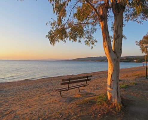 Bank unter einem Baum an einem Strad auf der Chalkidiki-Halbinsel bei Sonnenuntergang