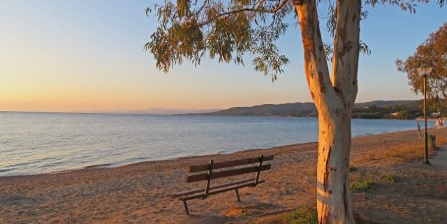 Bank unter einem Baum an einem Strad auf der Chalkidiki-Halbinsel bei Sonnenuntergang