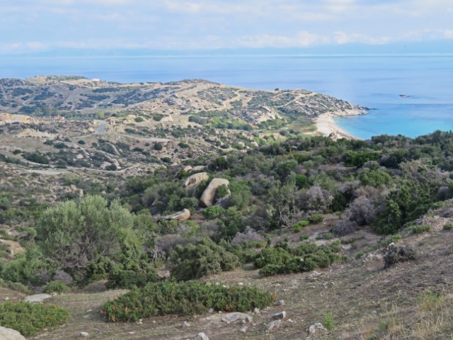 Blick von oben über eine trocken grüne Hügellandschaft mit einem Strand tief unten vor dem blauen Meer