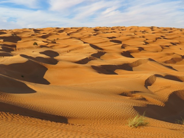 Wellige Sanddünen in der Sahara