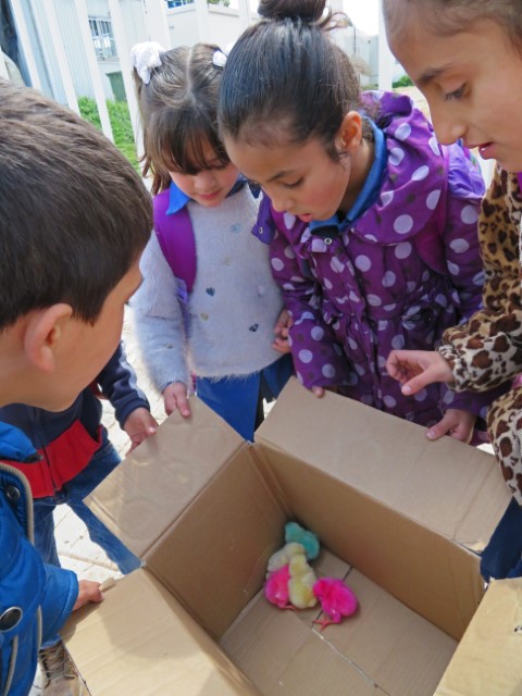 Kinder haben einen Karton mit pinkt und grün gefärbtem Küken.