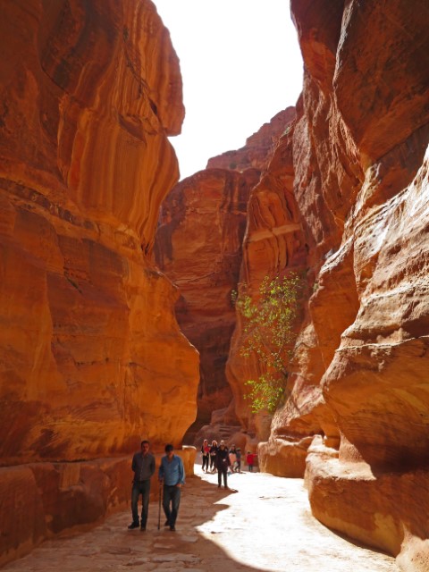 Enger Gang zwischen hohen Felsen zum Haupteingang von Petra