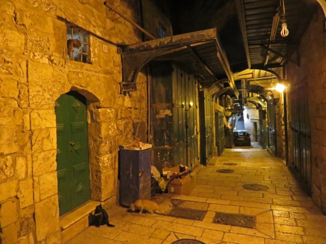 Blick in eine gelb beleuchtete nächtliche Gasse in Jerusalem mit heruntergekommenen Häusern und spielenden Katzen.