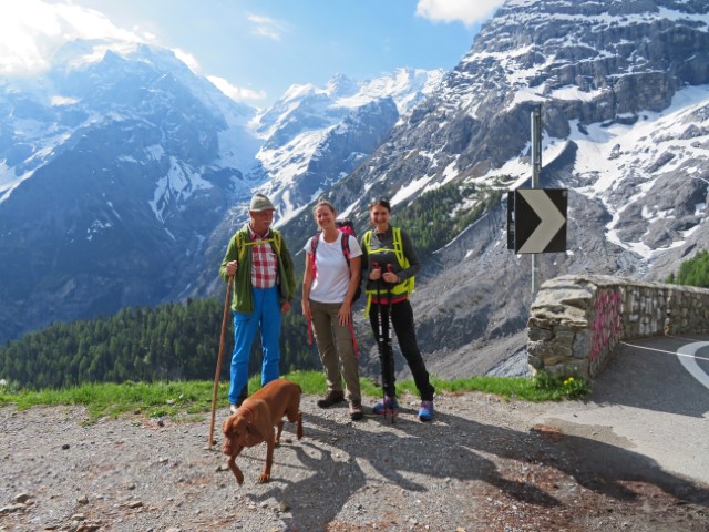 Zwei Frauen und ein älterer Wanderführer mit braunem Hund vor der Bergkulisse am Ortler