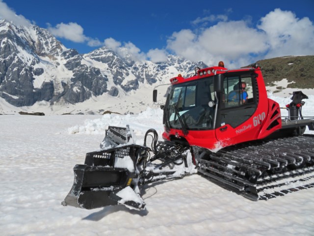 Rote Schneekatze in den Ortler Bergen