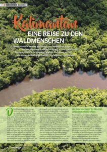 Artikel über Kalimantan mit Dschungelbild